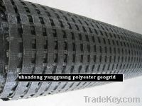 warp knitting high-strength polyester heterogeneous geogrid600-50kn
