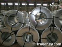 galvanized steel coil