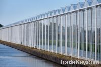 Dutch Venlo Type greenhouse