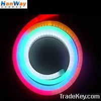 Sell RGB LED Neon Light for Building Outline