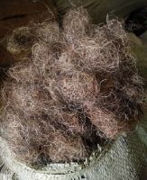 pasteurized curled horse hair for mattress