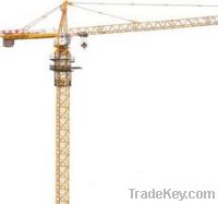 Supplier of Tower Crane QTZ4208