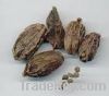 Black Cardamom Sell