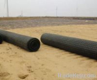 Sell Uniaxial Plastic Geogrid