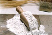 Sell Wheat Flour / Wheat Brans