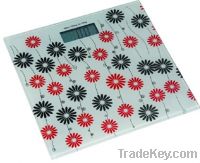 SE873A electronic weighing scales