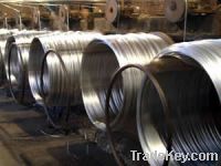 Sell Big Coil Galvanized Wire