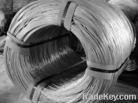 Big Coil Galvanized Wire 001