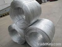 Electro Galvanized Wire 002