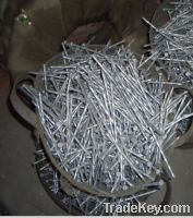 Sell wire nails