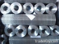 Sell Electric welding mesh 001