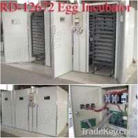 Sell automatic chicken egg incubator hatcher