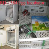 Sell duck egg incubator setter hatcher broder