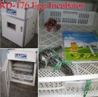 Sell quail hatching machine equipment