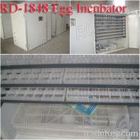 Sell haching quail eggs with incubator