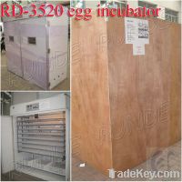 Sell fertilized chicken layer eggs incubator for sale