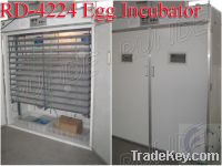 Sell incubating duck eggs machine of turkey feeding farm