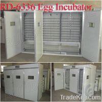 Sell broiler hatching eggs machinery incubator