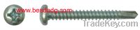 self drilling screw