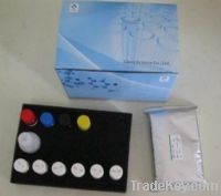 Sell Human cluster of differentiation 33 (CD33) ELISA Kit