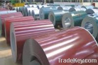 Sell Color steel sheet in coil from Vietnam