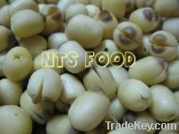 Sell Fresh/Black/White Lotus Seed