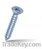 Countersunk Head screws