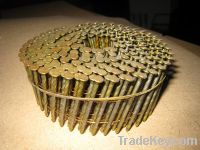 Sell yellow coil wire nail for pallet