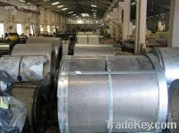 Supply 2507 Stainless Steel Sheets