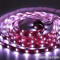 Sell LED Flexible Lights