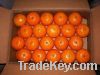 Fresh Valencia oranges and mandarin oranges for sale