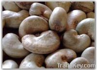 we sale cashew nuts and other nuts