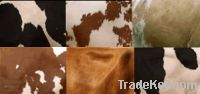 We offer an assortment of TOP QUALITY cow hide  leather .