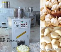 Sell Garlic peeling machine