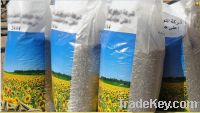 Sell Export level sunflower seeds 5009