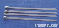Sell Nakde stainless steel cable tie YFC series