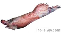 Export Buffalo Meat | Cow Meat Suppliers | Beef Exporters | Sheep Meat Traders | Goat Meat Buyers | Lamb Meat Wholesalers | Low Price Cow Meat | Buy Sheep Meat | Import Beef | Buffalo Meat Importers 