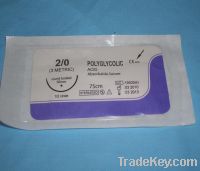 Sell surgical suture-Polyglycolic Acid (PGA), 2#-6/0#