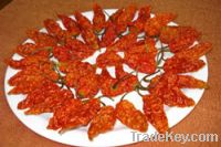 Sell Bhut Jolokia (Ghost Chili)