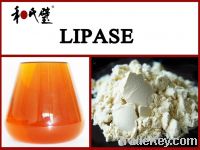 sell  lipase  and hope we can  do businenss  with  you