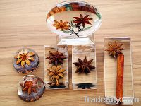 Sell amber of star anise