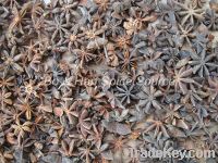Sell 2nd grade star anise