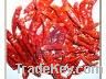 Sell Dried Red Pepper ( Vietnam Chilli)