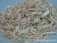 Sell PINE WOOD CHIPS/ RUBBER CHIPS/ACACIA WOOD CHIPS, EUCALYPTUS ...