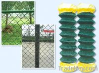 Sell Plastic Coated Chain Link Fence DBL-E