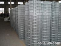 Sell Galvanized Welded Wire Mesh D