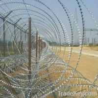 Sell Concertina Wire  D