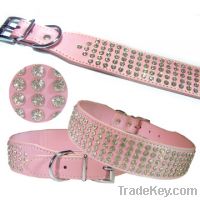 Sell Dog Collars