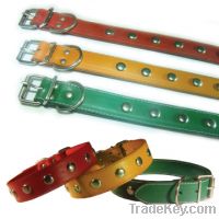 Sell pet collars&leashes
