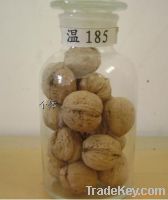 Aksu thin shell walnut
